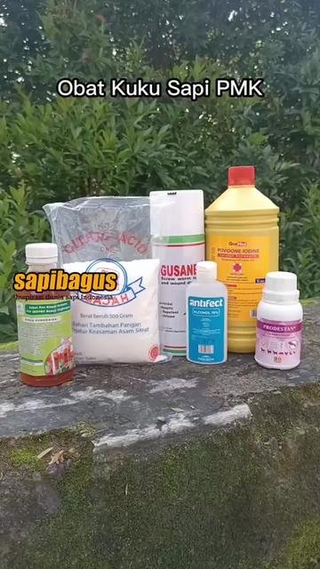 Obat-Kuku-Sapi-PMK